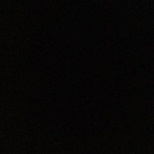 Meet your Posher, Tanner